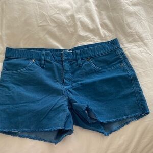 Carve Designs Teal Jean Shorts